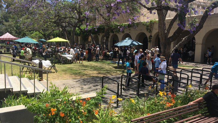 A crowd of families stands under trees and shade umbrellas on campus