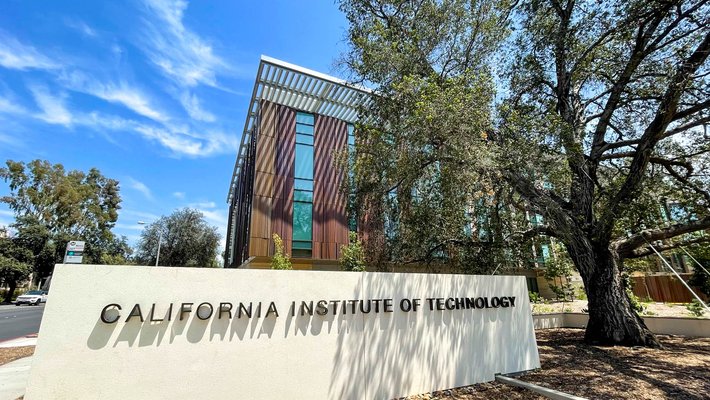 Oak tree near entrance to campus on Del Mar
