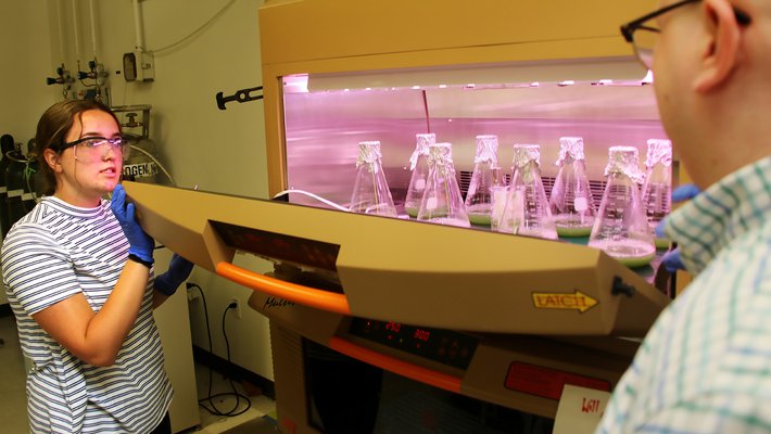 Maggie Higginbotham, a 10th-grade student at Blair High School in Pasadena, opens an incubator shaker to reveal cultures of bacteria used to produce gas vesicles for research.