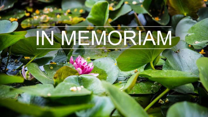 An image of lily pads in a pond overlaid with text reading "In Memoriam."