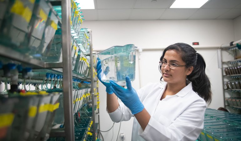 woman looks at scientific samples in a lab
