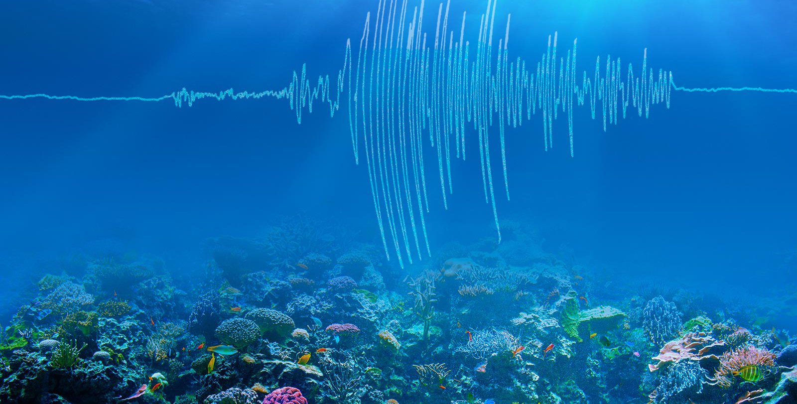 An artist's rendering of earthquake waves traveling through the ocean.
