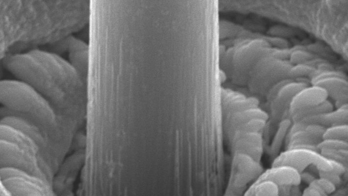 A micrometer-sized pillar of lithium.