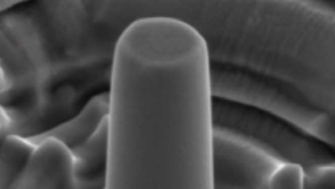 A scanning electron microscope image of one of the copper pillars used in the experiment.
