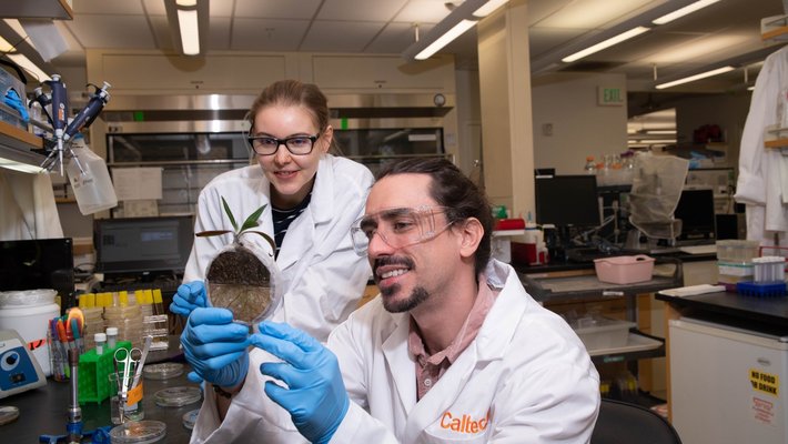 Postdocs Reinaldo Alcalde, front, and Hannah Jeckel inspect a plant and soil sample in the lab of Dianne Newman