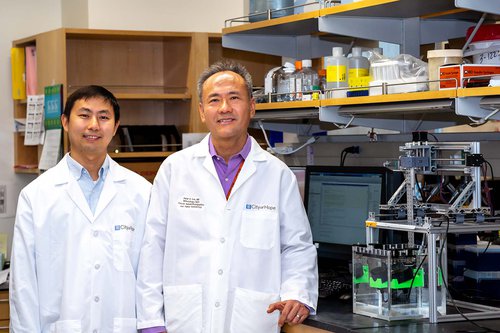 Ye and Lee/City of Hope