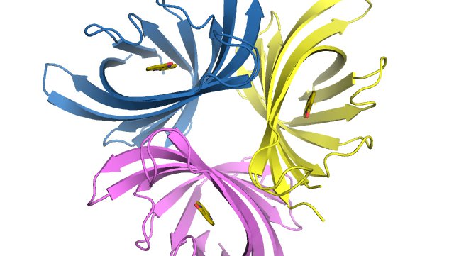 image of a the PodA crystal structure