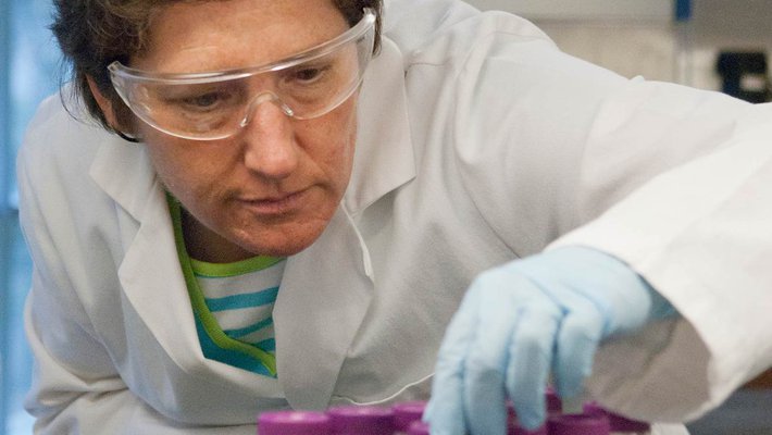 Professor Julia Kornfield examines laboratory equipment.