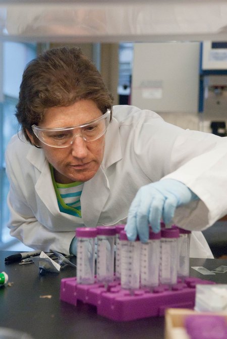 Professor Julia Kornfield examines laboratory equipment.