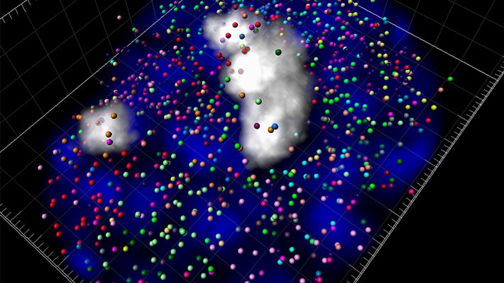 3D reconstruction of transcription sites