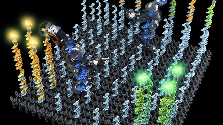 Artist's illustration of DNA robots