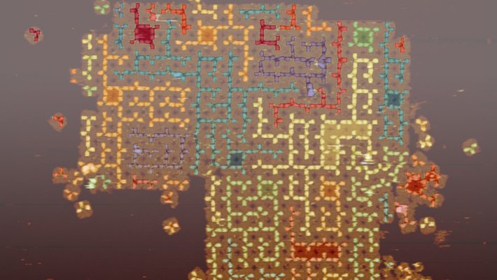 image of self-assembled random tree structures on the surface of DNA tile arrays