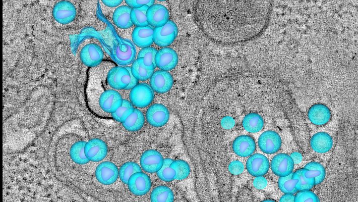 Mark Ladinsky/Caltech