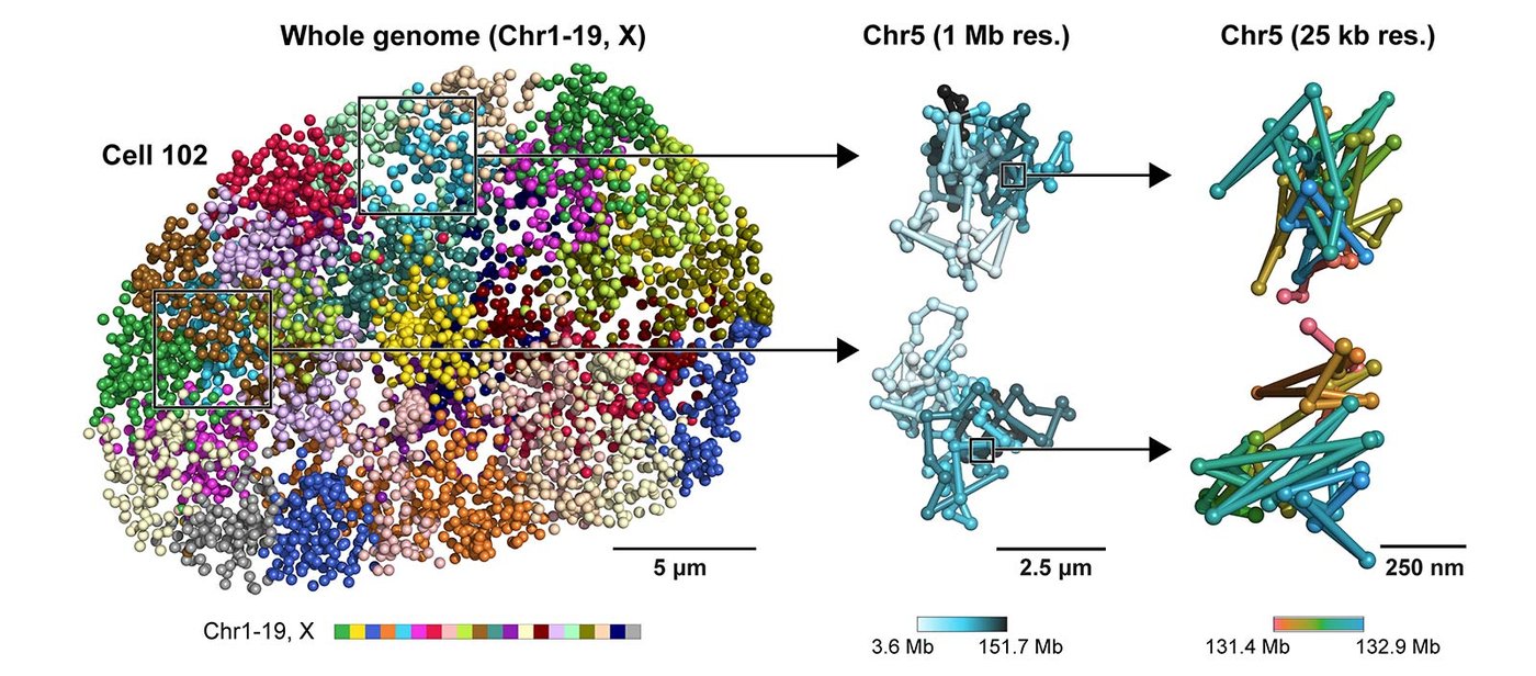 Many groups of dots of different colors