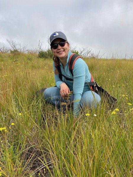 A person in blue pants and shirt with a backpack, ballcap, and sunglasses on squats amid tall grasses interspersed with yellow composite flowers and herbaceous plants, under a cloudy gray sky