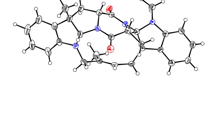 Molecular structure of Nocardioazine A.