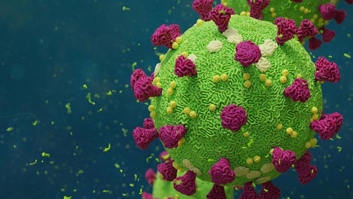coronavirus image