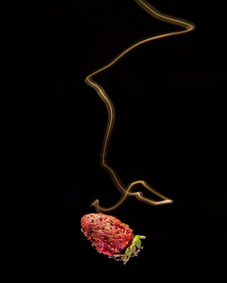 Tracing the path of a fruit fly as it searches for food