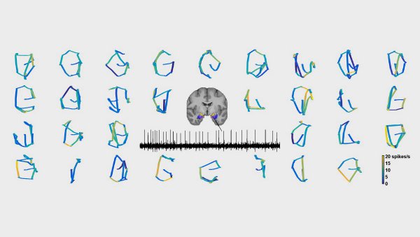 Illustrated representation of brain activity as tracked with eye movement.
