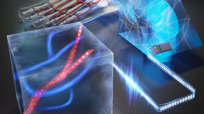 An artists concept of blood vessels being imaged in three dimensions in a human foot.