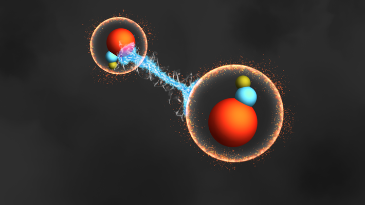Artwork depicting entangled molecules.