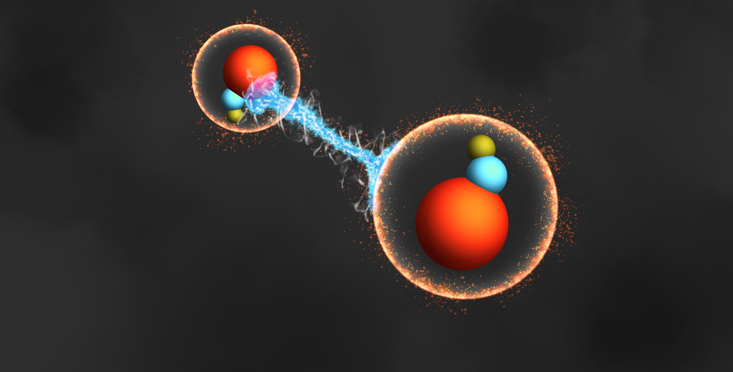 Artwork depicting entangled molecules.