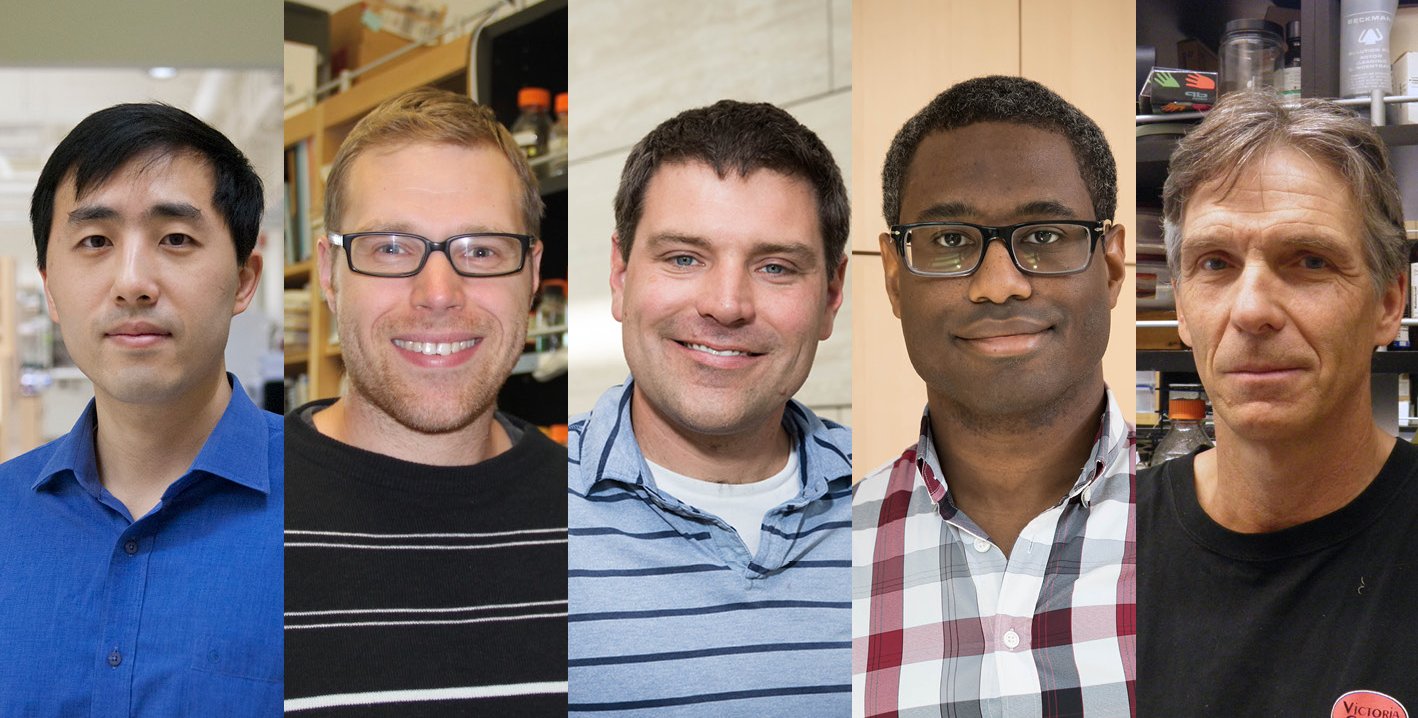 Headshots of five people arranged in a row
