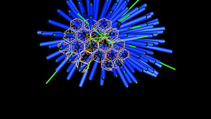 A rendered image of the porcupine-like array of phage tail-like contractile structures in P. luteoviolacea bacteria.