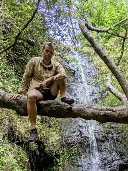 A person sits on a thick horizontal branch in a natural grotto vivid with ferns and herbaceous plants, as a waterfall streams down the gray rock wall in the background