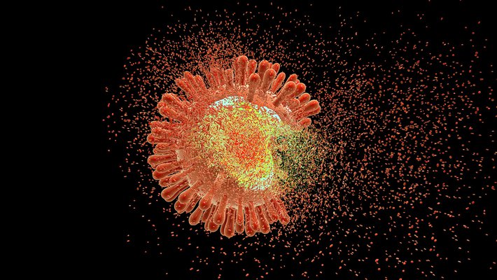 Artist concept of a virus