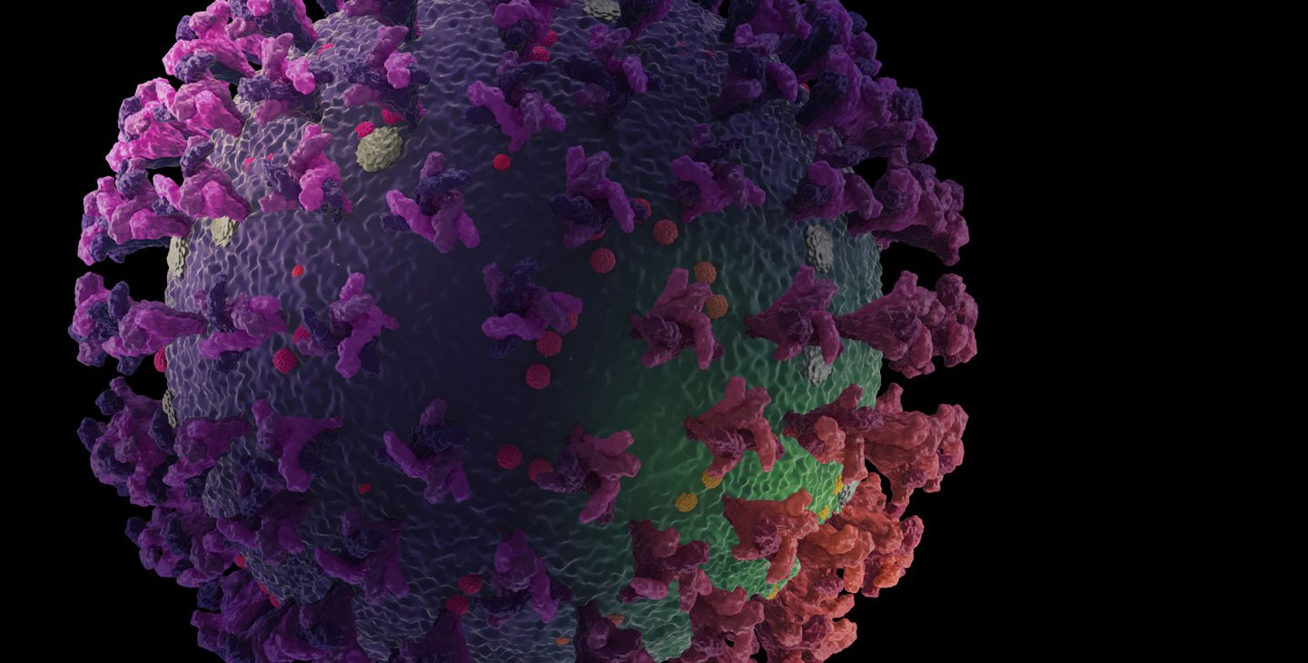 Stock image illustration of a coronavirus, spherical with spiky proteins sticking out of the surface