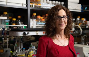 Portrait of Professor Pamela Bjorkman in her biology lab with flasks and pipettes behind her