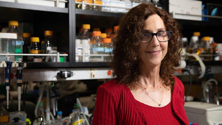 Portrait of Professor Pamela Bjorkman in her biology lab with flasks and pipettes behind her