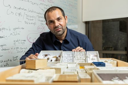 A man in front of a whiteboard displays a collection of insects