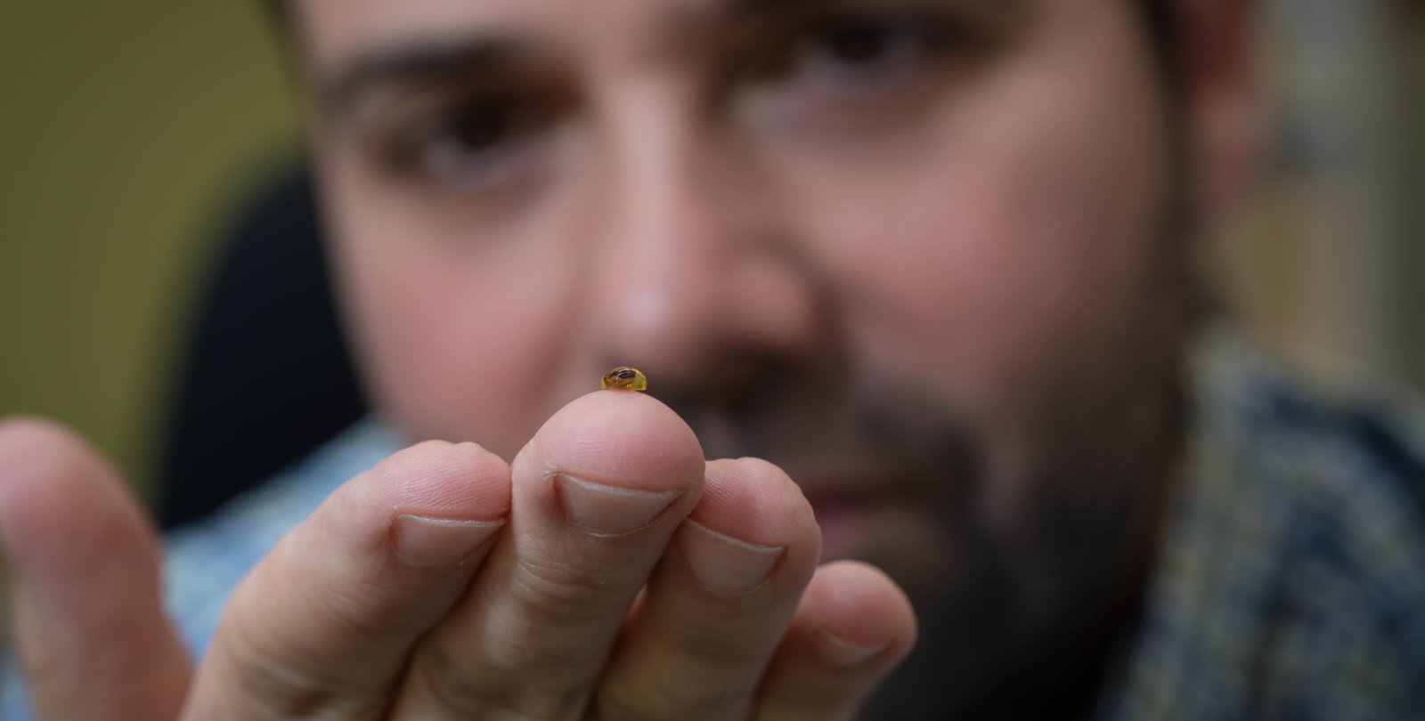 Joe Parker holds an ancient fossilized beetle