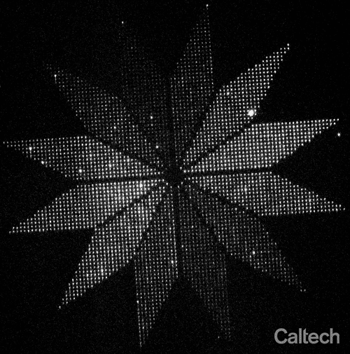 glowing nanoscale molecular devices arranged into a flower shape