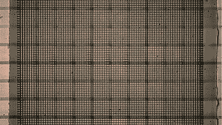 Programmed Lithiation