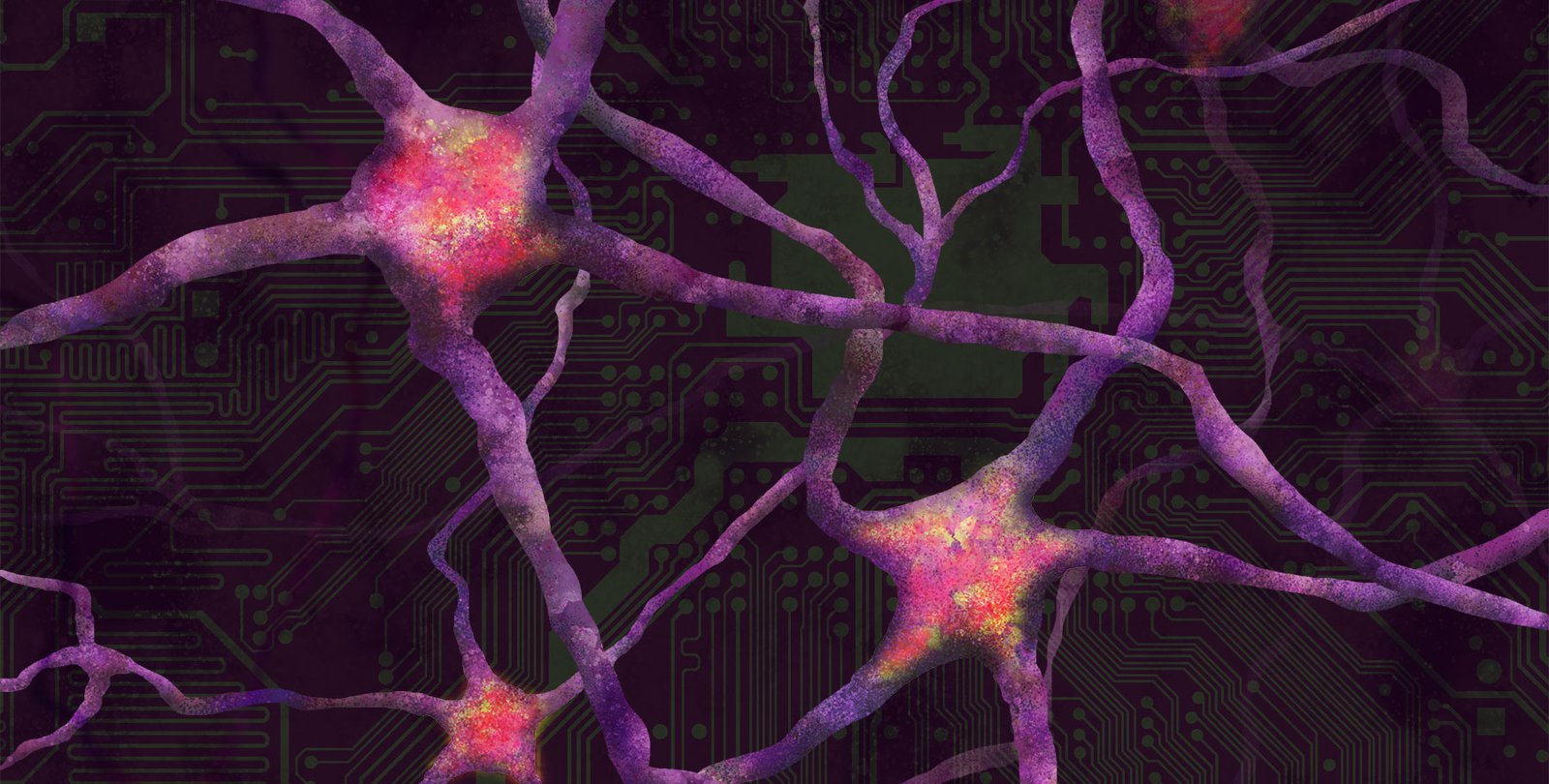 Illustration of neurons