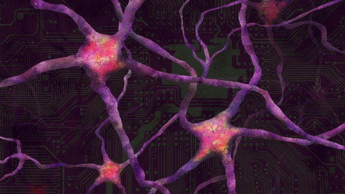 Illustration of neurons