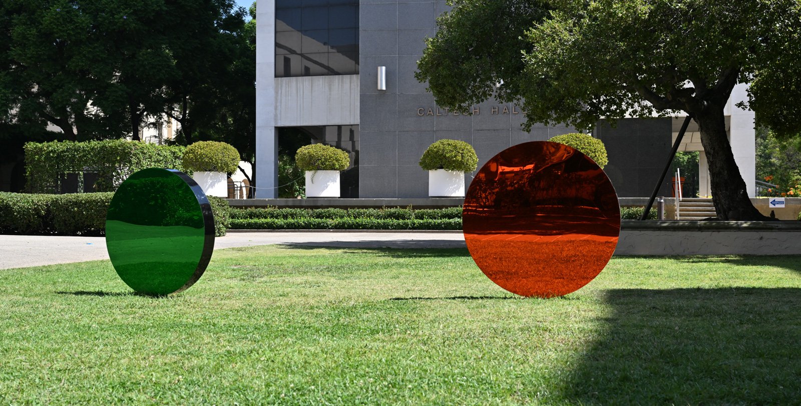 Spectrum Petals by Shana Mabari