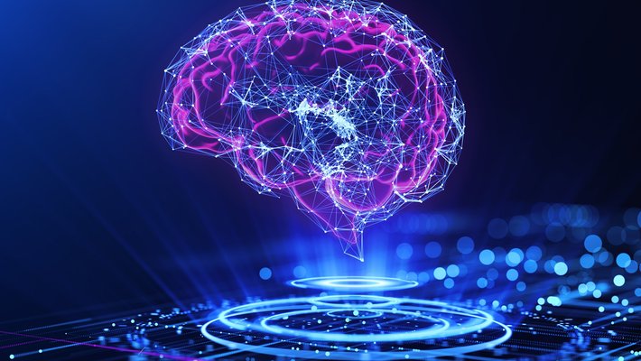 A magenta-outlined computer-drawn image of a brain with blue vectors within and around it, all over an abstract computer-llke base with concentric circles also drawn in blue.