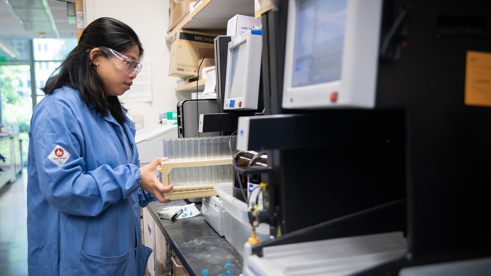 Chaw Soe doing research in the lab.