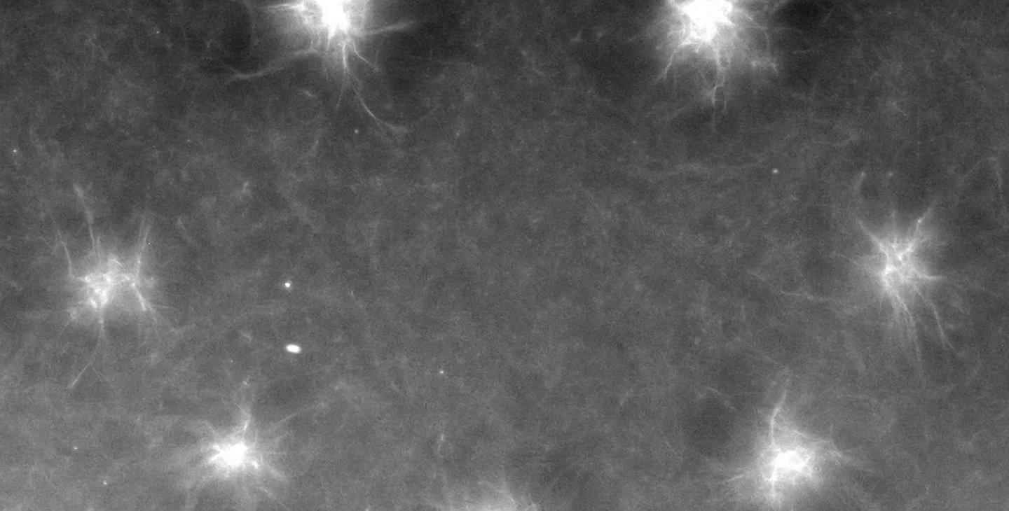 Star-shaped structures called asters are engineered in such a way that their formation is guided by light.