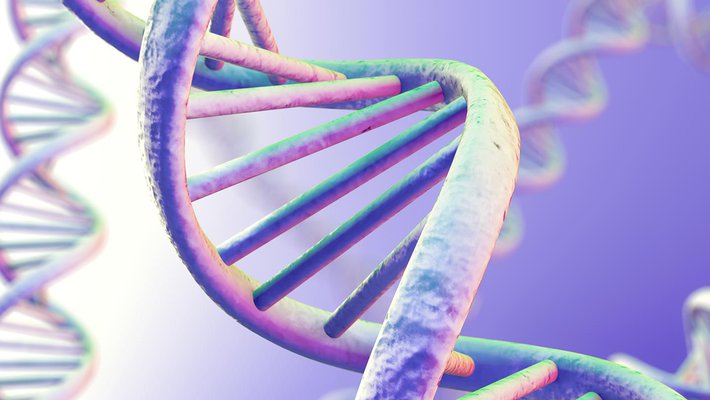 Illustration of DNA double helix