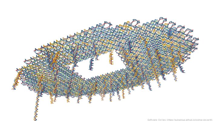 A coarse-grained model of the DNA origami looks like a colorful disk with a square gap in the middle reminiscent of a lilypad. Tails of helical DNA hang from the disk, representing redox reporters.