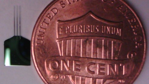 Brain probe compared to a penny