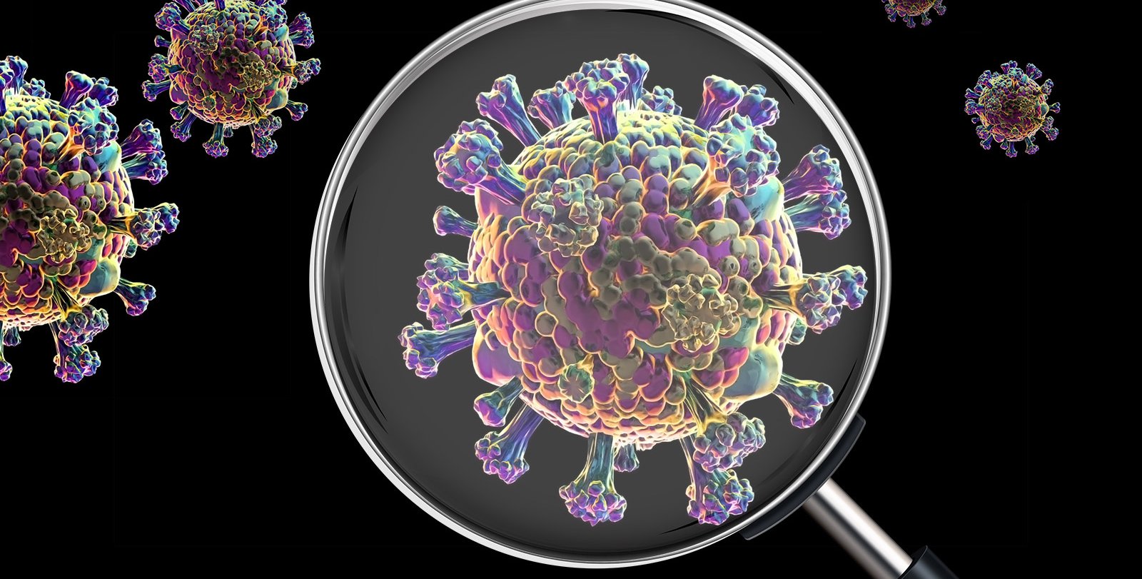 An artist's rendering of a COVID virus being examined with a magnifying glass.