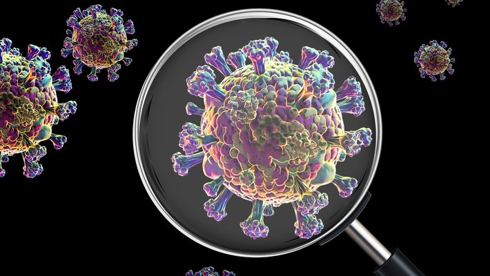 An artist's rendering of a COVID virus being examined with a magnifying glass.