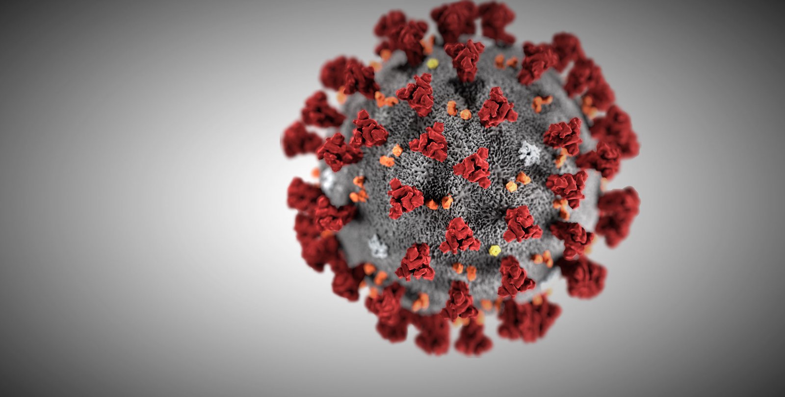 Illustration of the novel coronavirus that causes COVID-19. Small red spikes protrude from a circular virion.