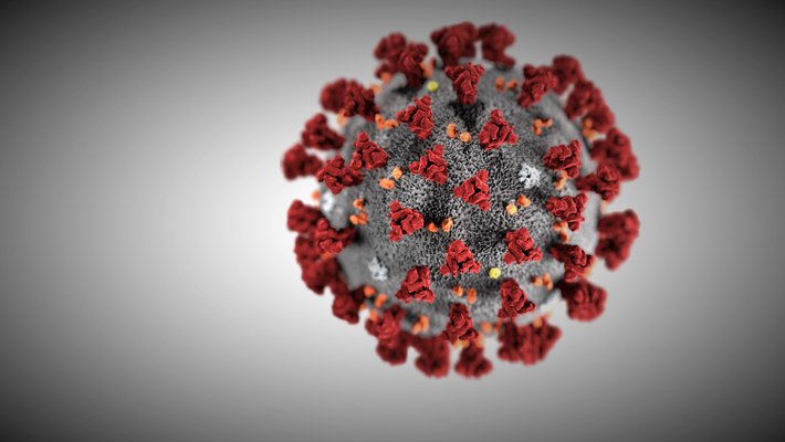 Illustration of the novel coronavirus that causes COVID-19. Small red spikes protrude from a circular virion.